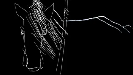 Don Quixote in a Fragmented World