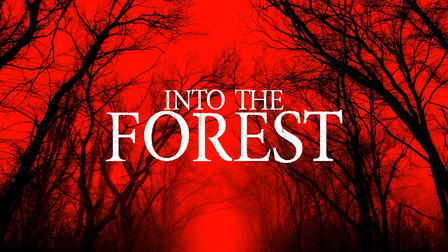 Into the Forest