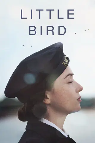 Little Bird