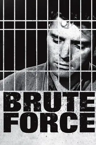 Brutal magt