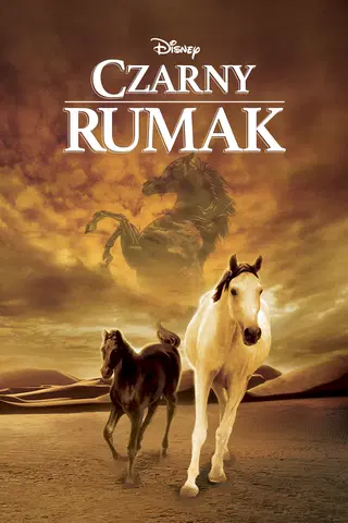 Czarny rumak