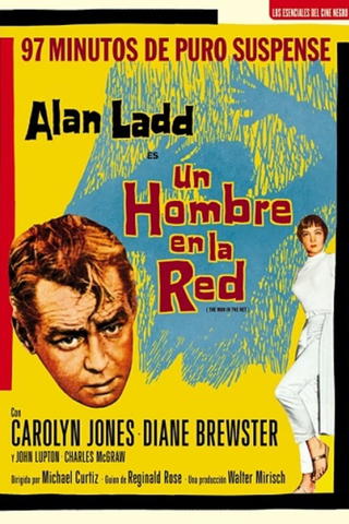 Un hombre en la red