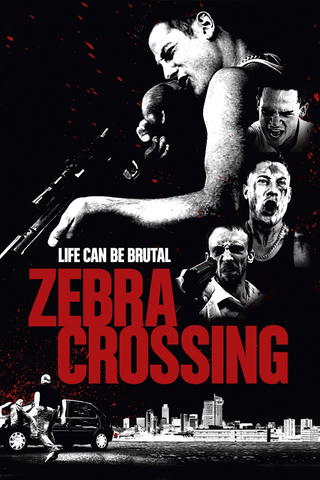 Zebra Crossing