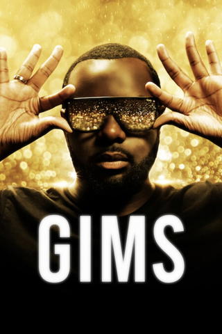 GIMS
