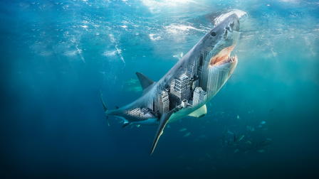 Sharks and the City: New York