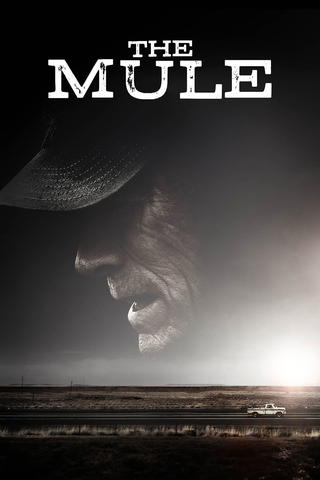 The Mule