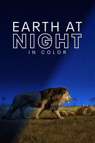 Earth at Night in Colour
