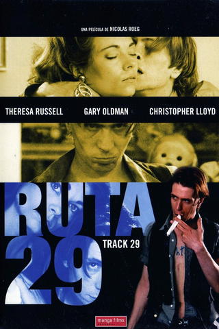 Ruta 29