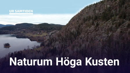 UR Samtiden - Naturum Höga kusten