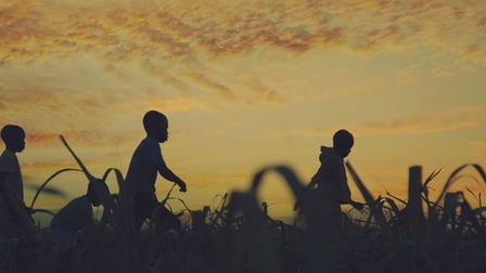 Stateless