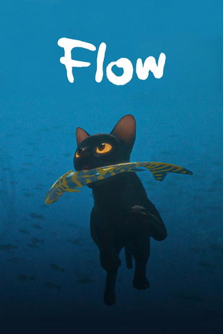 Flow