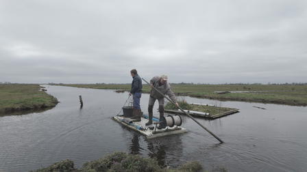 Hoop in de Hoep