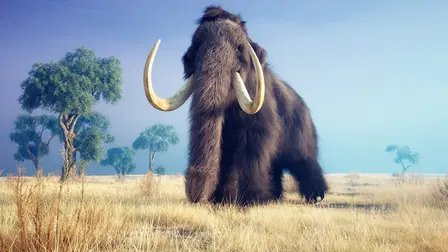 Extinct