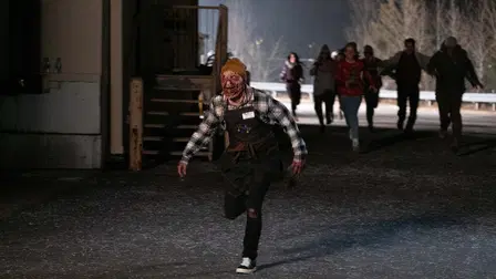 Black Friday!