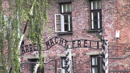 Three Days in Auschwitz