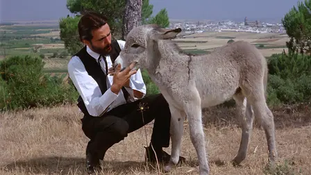 Platero y yo