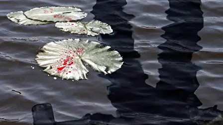 Waterfront Nightmare