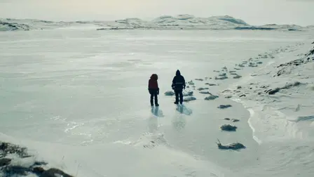 Two Lovers and a Bear