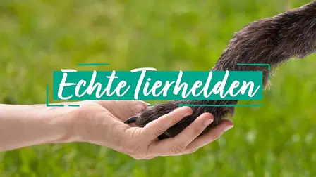 Echte Tierhelden