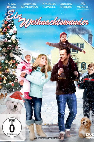 Ein Weihnachtswunder