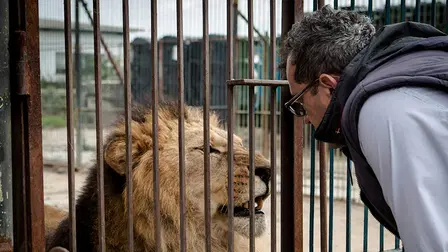 Wild Animal Rescue