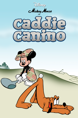 Caddie Canino
