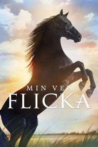 Flicka