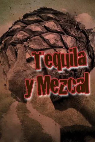 Tequila y mezcal