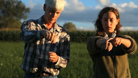 From This Day Forward