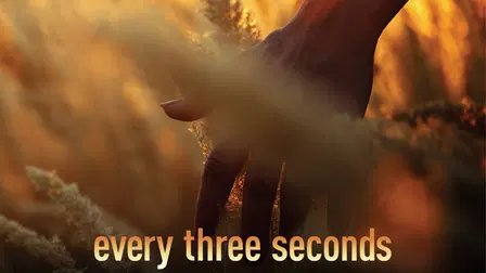 Every Three Seconds