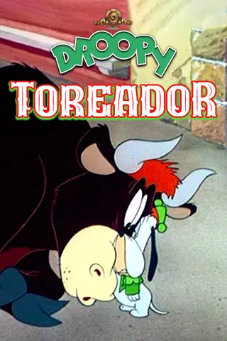 Droopy toréador