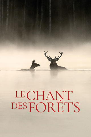 Le chant des forêts
