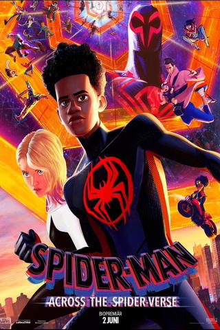 Spider-Man: Across the Spider-Verse