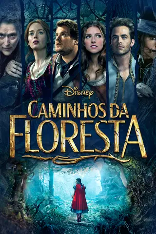 Caminhos da Floresta
