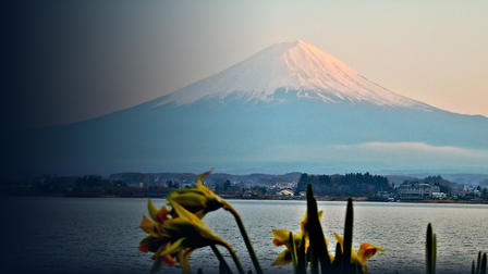 Earth: The Inside Story