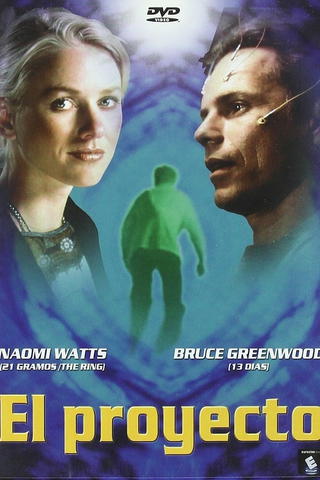 El proyecto