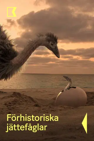 Förhistoriska jättefåglar