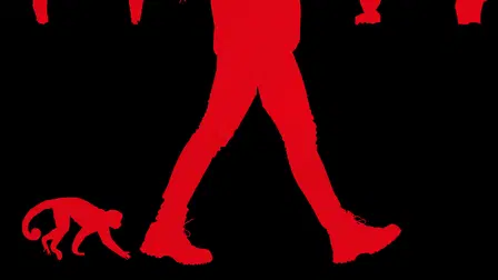 Y: El último hombre