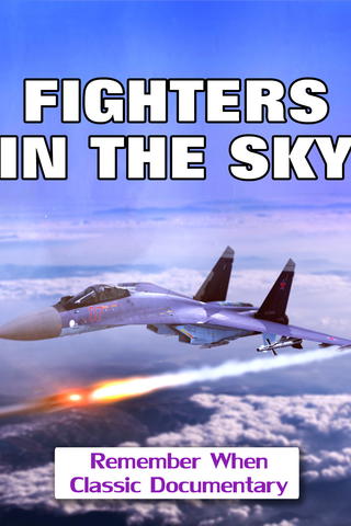 Fighters In The Sky
