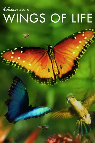 Disneynature Wings of Life