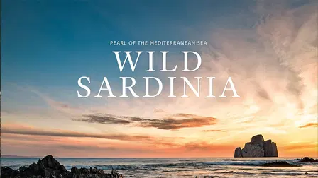 Wild Sardinia: Pearl of the Meditteranean Sea