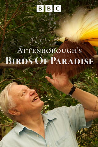 Las Aves del Paraiso