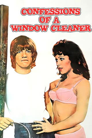 Confessions of a Window Cleaner