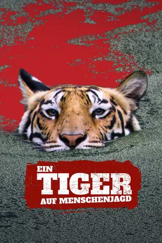 Ein Tiger auf Menschenjagd