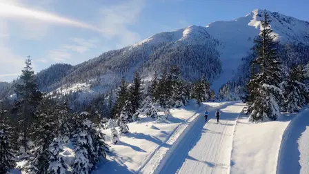 Neve, Ghiaccio e Gloria