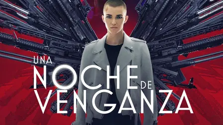 Una noche de venganza