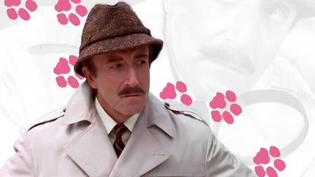 Der rosarote Panther kehrt zurück