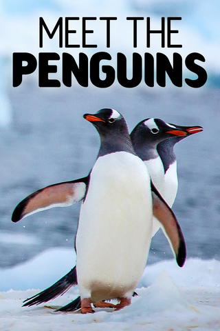 Meet the Penguins