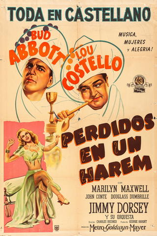 Perdidos en un Harem