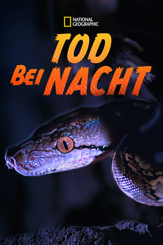 Tod bei Nacht
